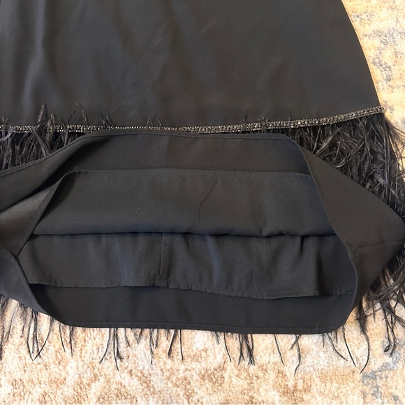Tahari ASL  Sleeveless Round Neck 100% Ostrich Feather Trim Shift Dress size 8P - Picture 11 of 15